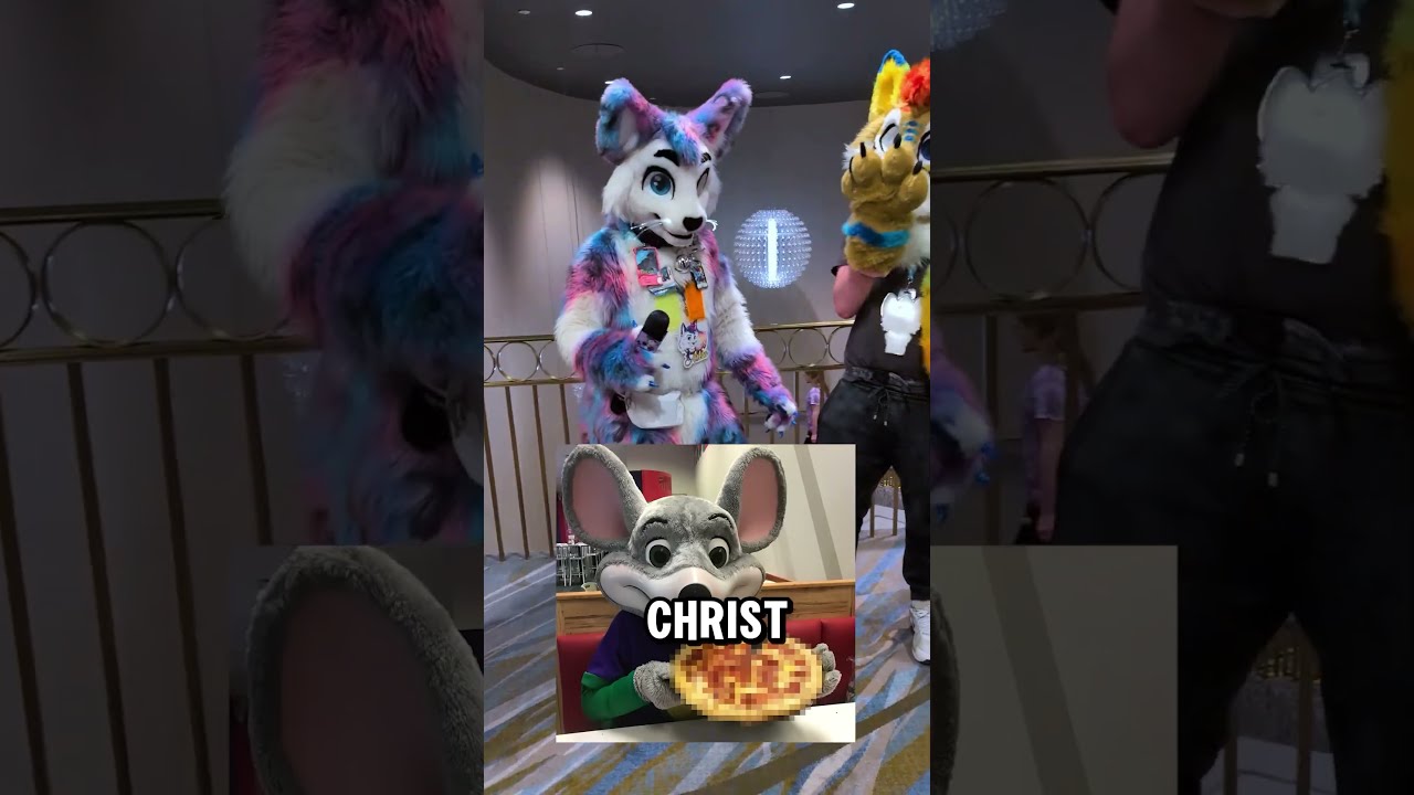  Furries And Their Room Parties