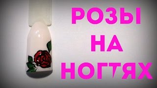 Маникюр розы на ногтях. Маникюр розы на ногтях.