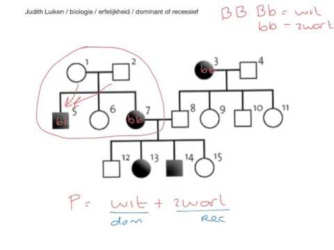 Biologie_Erfelijkheid_dominant of recessief in stambomen