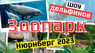 видео: Зоопарк в Нюрнберге🇩🇪. Наша жизнь в Германии. картинка: Зоопарк в Нюрнберге🇩🇪. Наша жизнь в Германии.