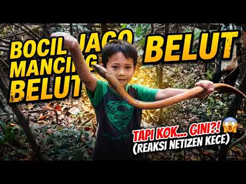 Lagu terbaru belut masuk lobang buaya karya @MAKNORWAHYU-y6c