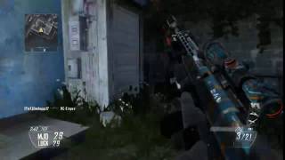 Window Shot Hitmarker!