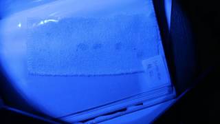 Forensic application light source application: semen stain fluorescent