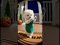 盆踊りかよ(笑) #おもしろ動画 #cat #三毛猫 #ai動画 #cute #animals #ポメラニアン #funny