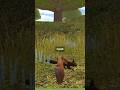 Squirrel Simulator 3D Level 9 | Part 1-2 | Android iOS #gameplay #shorts