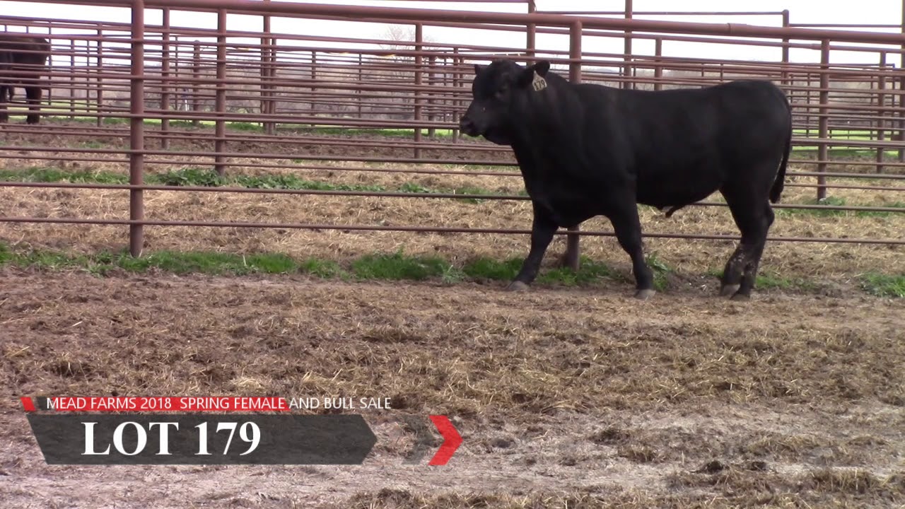 Mead Farms Lot 179 YouTube