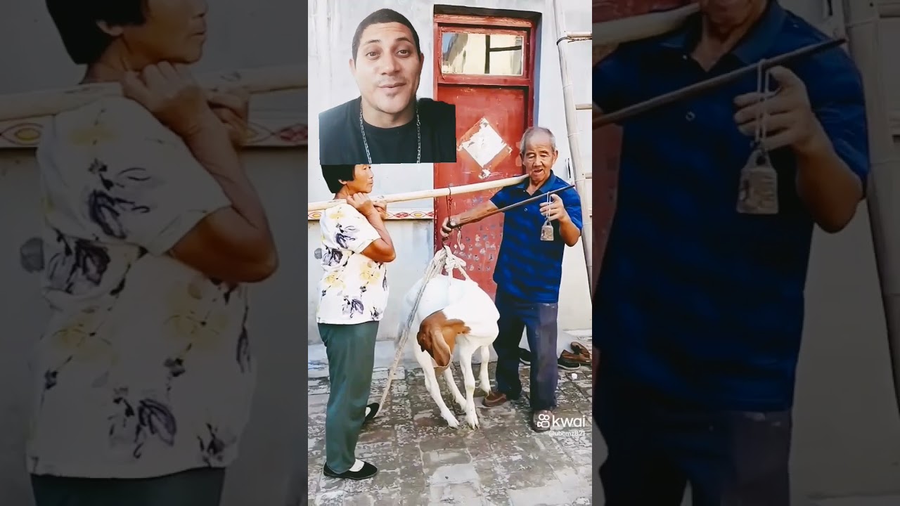 Pesando  a cabra  pra vender