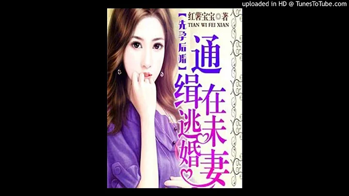 《未婚妻的秘密》有声小说第21集 - 天天要闻