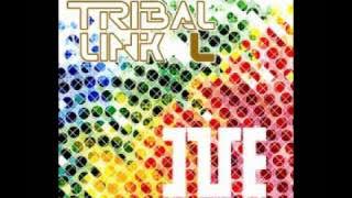 Larval Stage Planning - Blossomdays