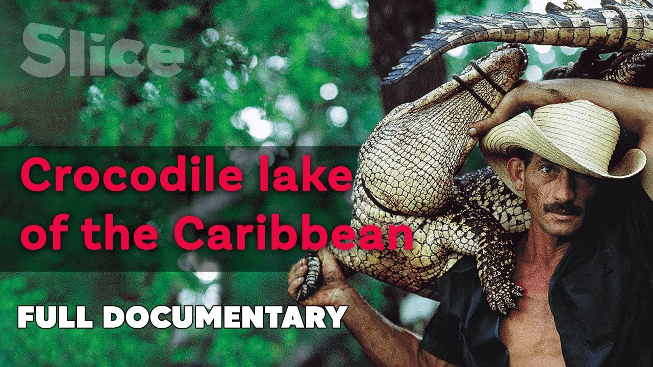 Documentary backdrop image for Guarding the crocodile haven (2022)