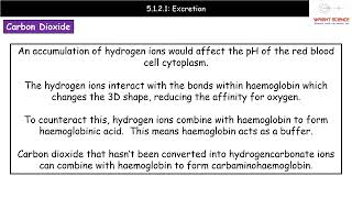 A Level Biology 5.1.2.1 - Excretion