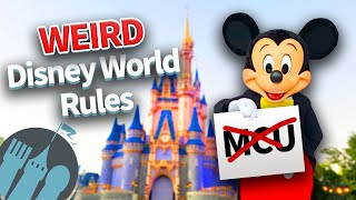 Famous WEIRD Disney World Rules Wealth
