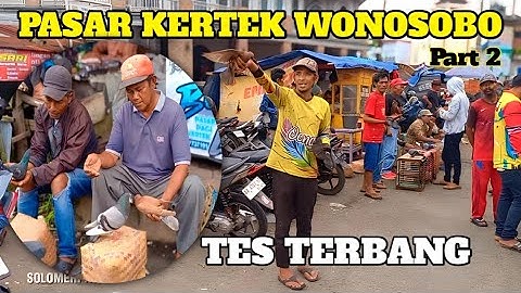 BERBURU MERPATI DIPASAR KERTEK WONOSOBO PART 2