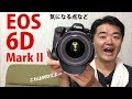 【深夜の雑談】Canon EOS 6D Mark II が発表されたのでスペックで気になった点などをいくつか