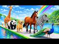 Long Slide Game with Cow Elephant Gorilla Hippopotamus Tiger 3d Animal Game Funny 3d Animals