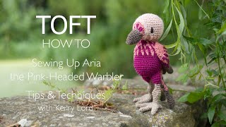 Sewing Up Aria the Pink-Headed Warbler