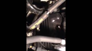 2001 Mustang start up noise