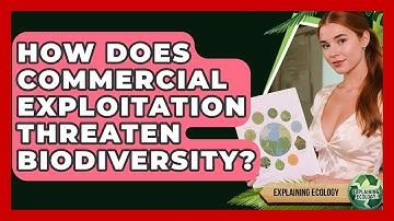 How Does Commercial Exploitation Threaten Biodiversity? - Explaining Ecology