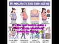 what happened in 3RD TRIMESTER