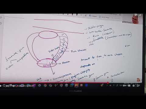 Guru Prakarah par Venu Gopal dasa (session 4, résumé, le 12 juin 2025)