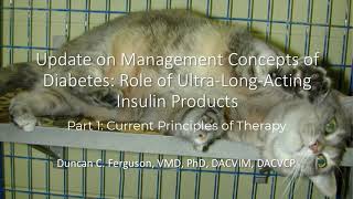 Update on Management of Diabetes in Dogs and Cats: Part 1, Current Principles of Therapy