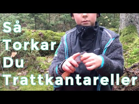 Video: Hur Man Torkar Skidkängor