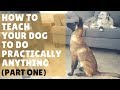 Dog Training 101 - Ep. 1: How to Get Started with Training