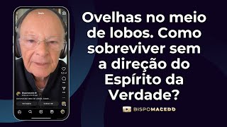 Ovelhas no meio de lobos. Como sobreviver sem a direção do Espírito da Verdade? - Meditação 03/05/24