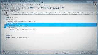 Beginner PHP Tutorial 8 Indentation