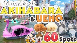 Things to do in Akihabara and Ueno Tokyo / Japan Travel Update 2024 screenshot 3