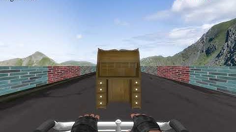 Example Trials of Spatial Memory Task