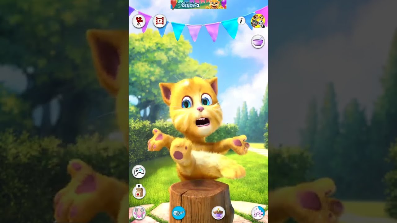 Talking Ginger 5 Shorts