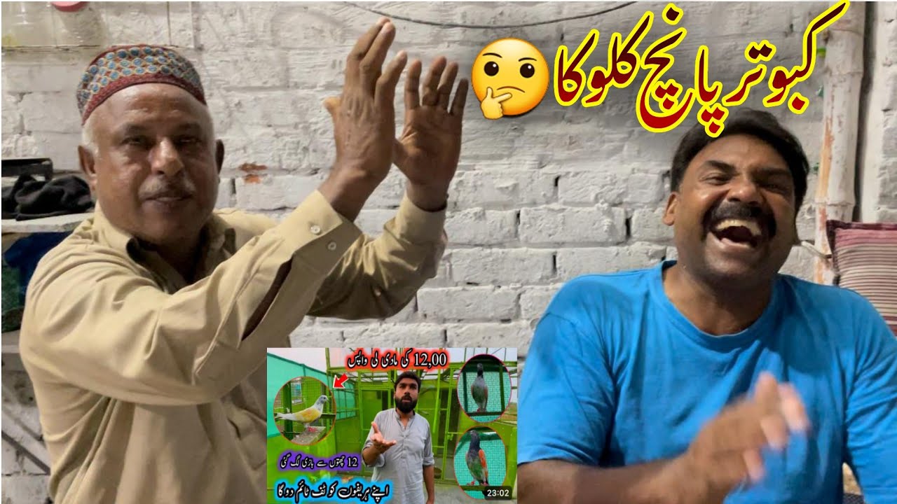 Kabootar 5 kilo ka🤔|| Ustad ch kamran - YouTube