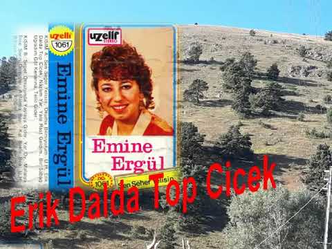 Emine Ergül - Erik Dalda Top Cicek - ( Uzelli 1061 )