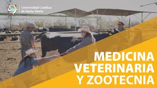 Medicina Veterinaria Y Zootecnia Ucsm