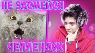 САМОЕ СМЕШНОЕ ВИДЕО В МИРЕ | ПОПРОБУЙ НЕ ЗАСМЕЯТЬСЯ ЧЕЛЛЕНДЖ | TRY NOT TO LAUGH CHALLENGE |CHALLENGE