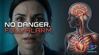 What Actually Happens Inside Your Body During A Panic Attack?