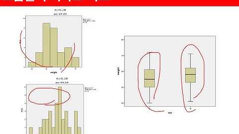 Ch03_06.기술통계분석(수치형)(그래프 그리기)06