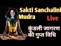 कुंडली जागरण की गुप्त विधि/ Sakti Sanchalini Mudra /The secret method of awakening the Kundlini