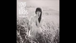 Video thumbnail of "Love Like Birds - Sailorboy [radio mix]"