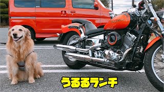 おっさんが素人なのを見せてやんよ！ TДT（ドラッグスター400）