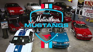 Meticulous Mustangs Collection // Mecum Indy 2023 // May 12-20 Indiana State Fairgrounds