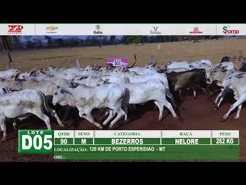 Lote D05