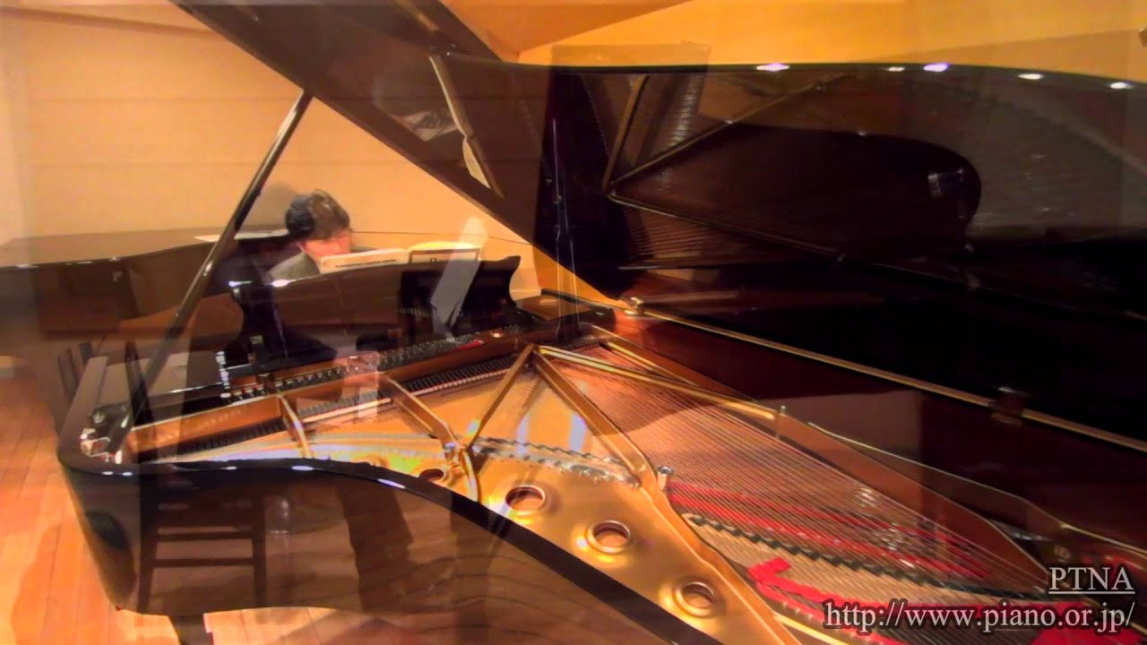 Kurokawa Hiroshi / Reger - 10 Kleine Vortagsstücke Op.44 Moment