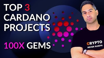 Top Cardano Projects - Best Cardano DEXs with Massive POTENTIAL!! - ADA News 2021