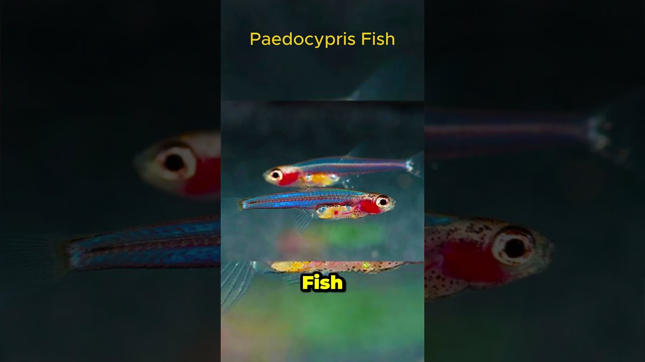 3 of the Smallest Creatures on Earth You Didn’t Know About 