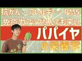 アレルギー解消から抗ガン・免疫力アップまで！スーパーフード青パパイヤの栄養学