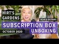 Hirt's Boxed Botany | October 2020 Houseplant Subscription Box Unboxing