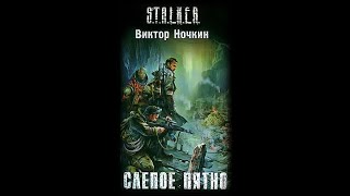 S.t.a.l.k.e.r. Слепое Пятно - Часть Вторая. Виктор Ночкин  #Аудиокнига #Сталкер