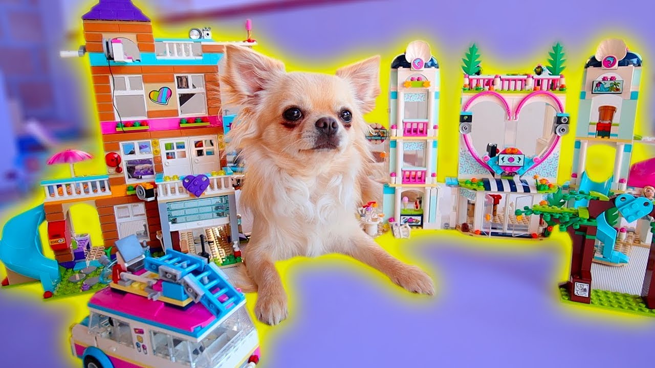 sofì e luì princesa COSTRUIAMO UNA CASA DI LEGO PER RAY!
